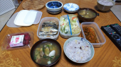 初ツバメ 画像3