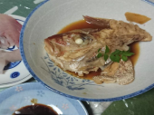釣り立ての鯛とハマチ 画像2
