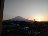 歩いてきた 画像2