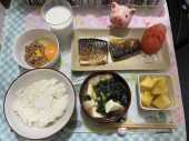5月22日（日） 画像1