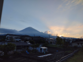 トウモロコシに救われる 画像1