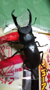 2022/6/2/銭湯 画像1
