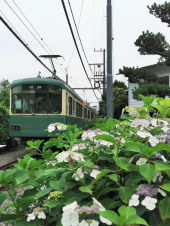 江の電 画像1