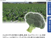 鳥取県大山のブロッコリーで幸せに♪ 画像1