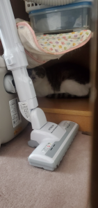 排水管の清掃 画像2
