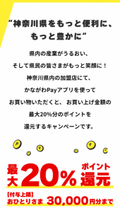 第2弾、始まりました♪ 画像2