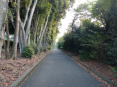 行ってきます 画像2