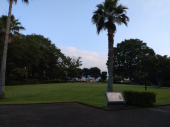行ってきます 画像3