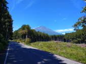 朝から辛い　です 画像3