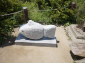 夏登山 画像2