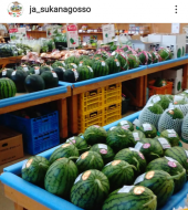 すいかの名産地♪ 画像1