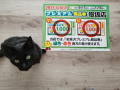 引っ越しが延びそう