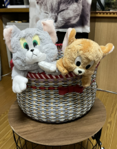 猫ちぐら 画像2