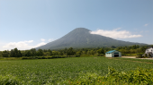 北海道から癒しを 画像1