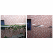 蔦の繁殖力半端無い 画像1