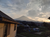 飲むのを忘れた 画像2