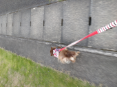 家計簿　面倒です 画像1