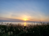 夕陽はさみしい 画像1