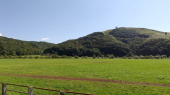 週末は歩き貯め 画像1