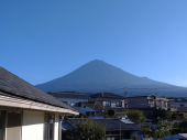 妻を見て心配素振り無し 画像1