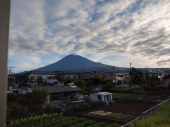 鉄鍋炒め 画像1