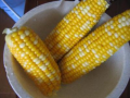 夏を収穫・・・♪