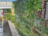 やっと連続勤務おわる 画像1