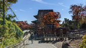 信州 と いなくなっちゃった(T_T) 画像1