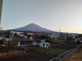 正直に疲れてる 画像1