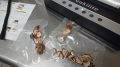 椎茸栽培