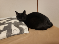 ちょっと寂しくなった