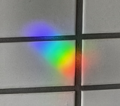 221125　柚子収穫 画像3