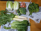 冬野菜第二弾 と 下ごしらえ 画像1