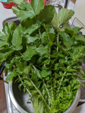 冬野菜第二弾 と 下ごしらえ 画像2