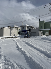 40センチの降雪 画像2