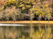 221206    湖で朝散歩など盛り沢山 画像3