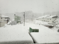 今日は１日雪
