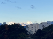 なみだ恋♪ 画像1