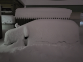 大雪警報 画像3