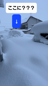 埋もれた車SOS 画像2