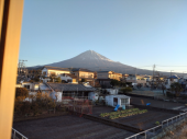 忘れるほど忙しかった 画像3