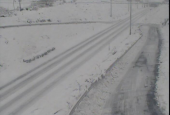 雪が解けはじめてる…↓ 画像2