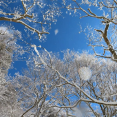 雪山登山と鍋パー 画像1