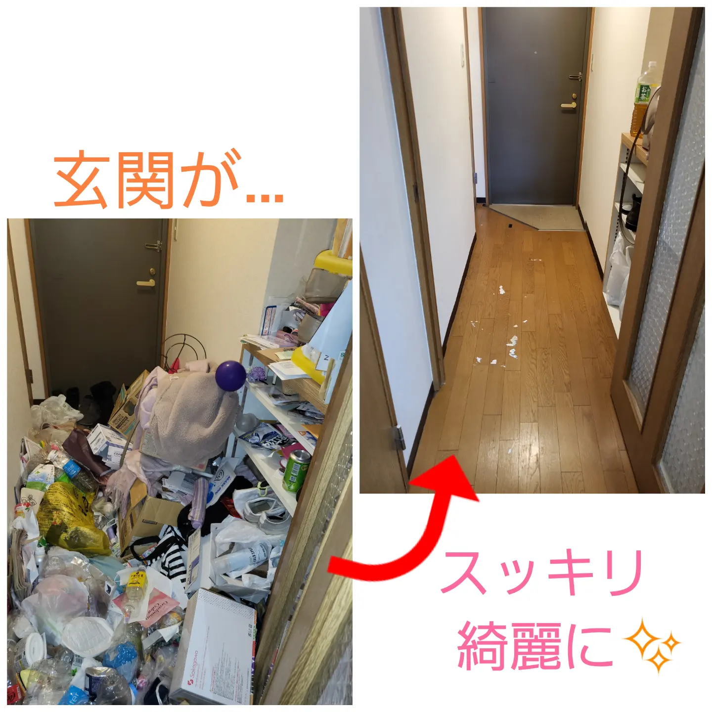 ゴミ屋敷、完了 画像1