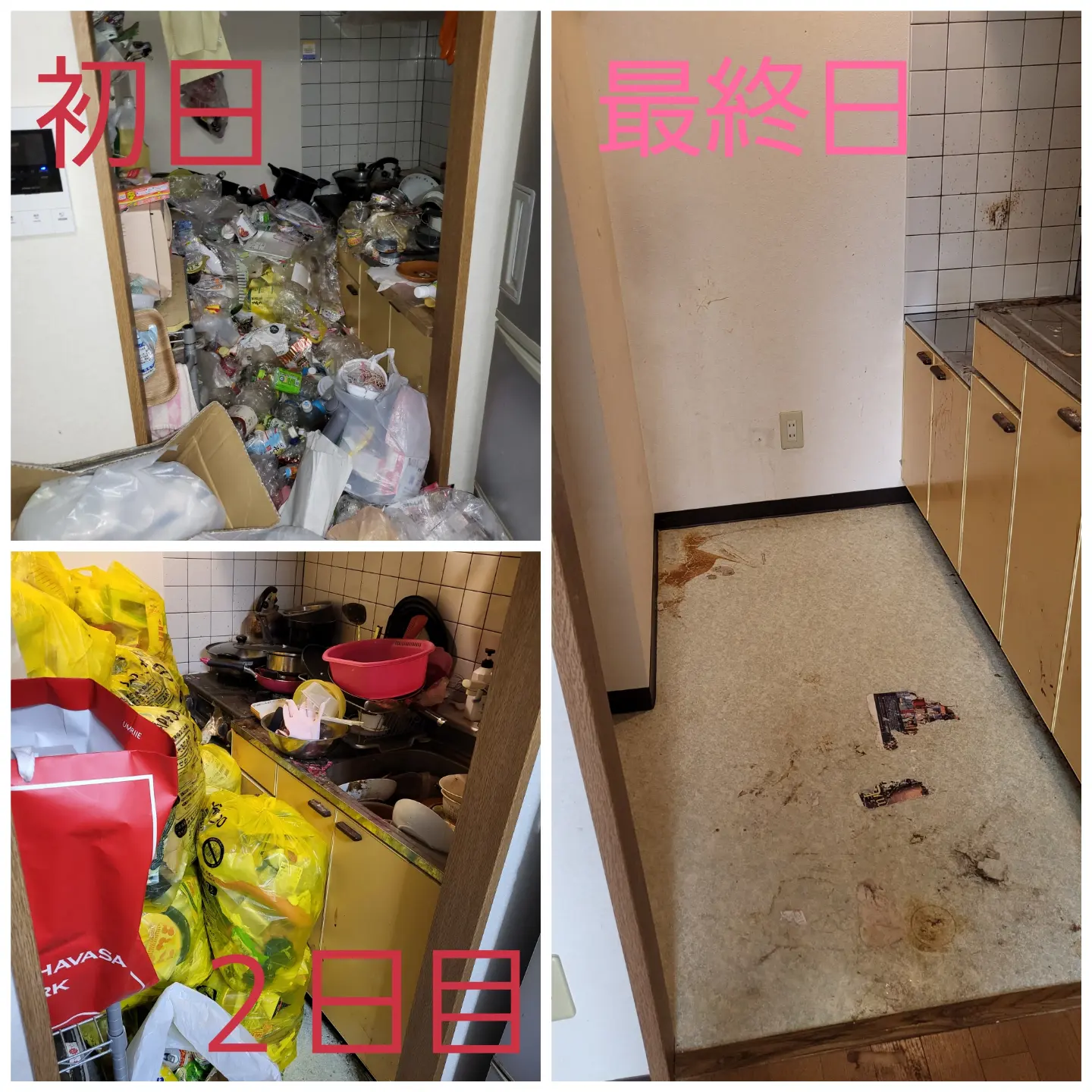 ゴミ屋敷、完了 画像3