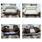 まるの体重が減った、ソファー到着 画像2