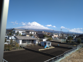 昨年を見る 画像2