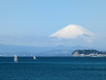 ふじの山