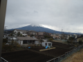 雨が降ってないから草取りだ