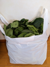 救急車 と ほうれん草 画像1